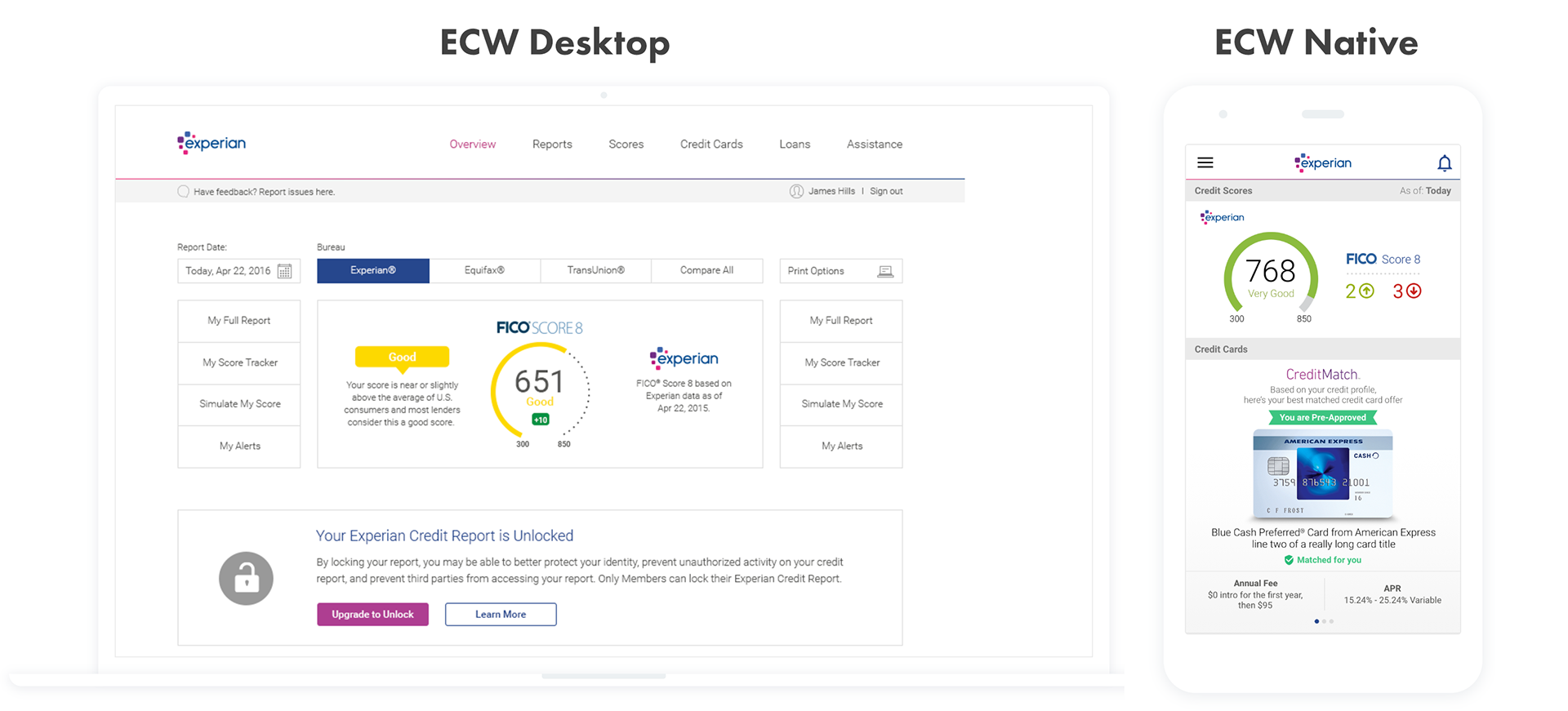 Experian desktop and native comparison